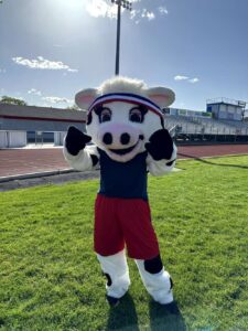 ph cash casino login